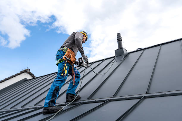 Best Metal Roofing Installation  in Caon City, CO